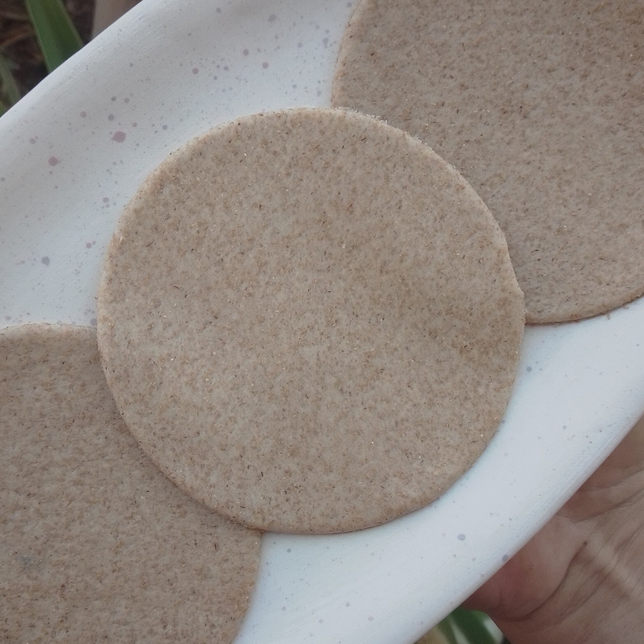 Tapas integrales de empanadas