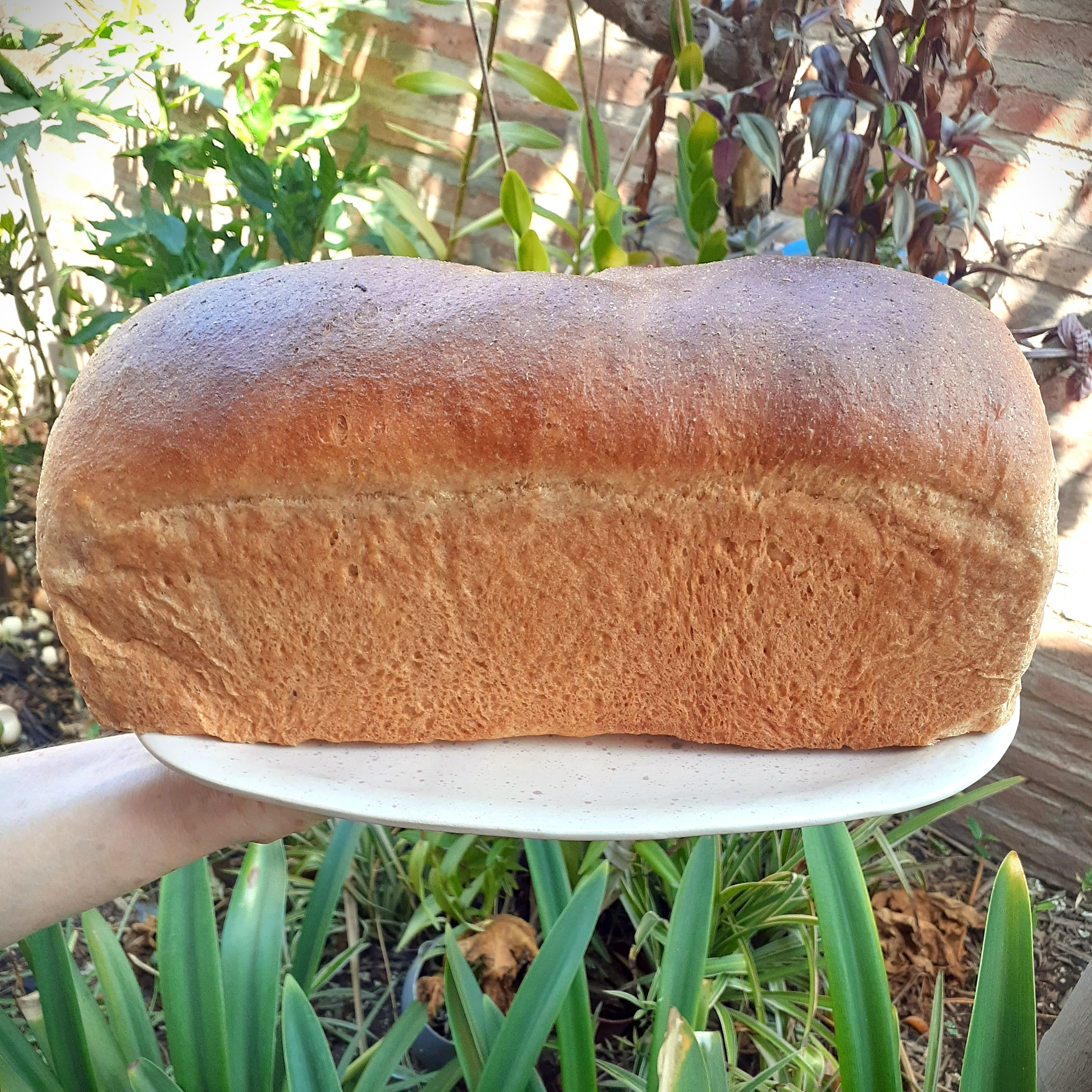 Pan dulce integral de naranja